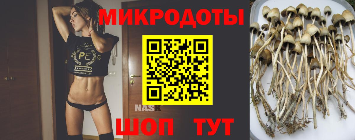 Псилоцибиновые грибы прущие грибы  Вход с VPN  Усть-Лабинск  Псилоцибиновые грибы Cubensis 